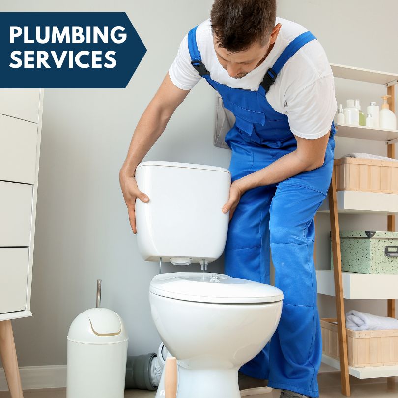 Plumbing Company in Stockland, IL